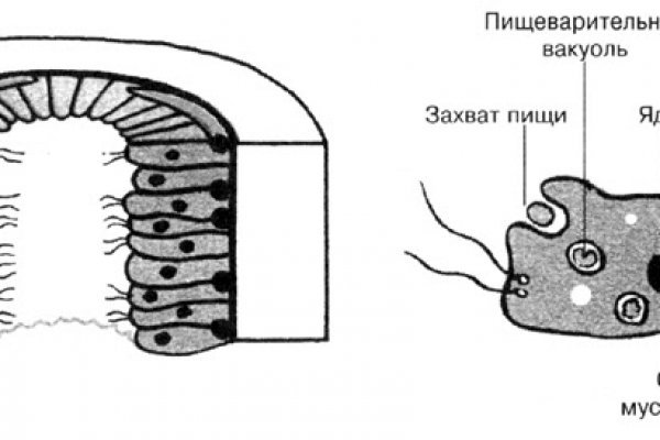 Кракен сайт упал